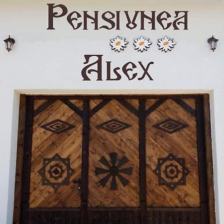 Pensiunea Alex Marga Exterior photo
